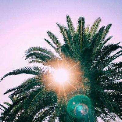 爱体育官方app手机app下载