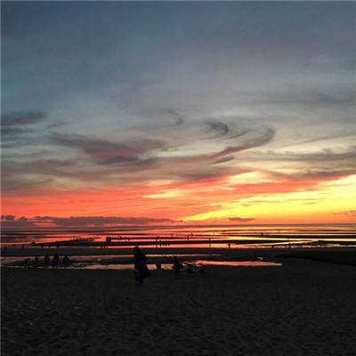 华体会登录手机版下载手机版