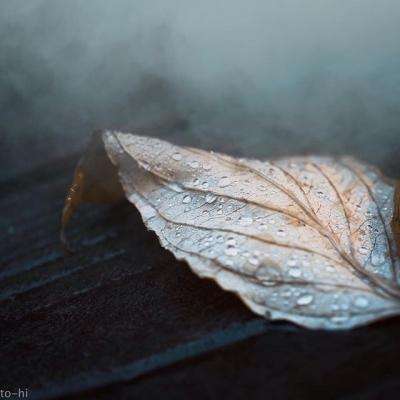 bob·体育综合app手机app下载