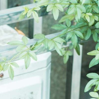 云开平台APP官方全站APP入口手机app下载